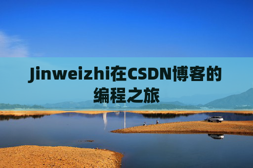 Jinweizhi在CSDN博客的编程之旅